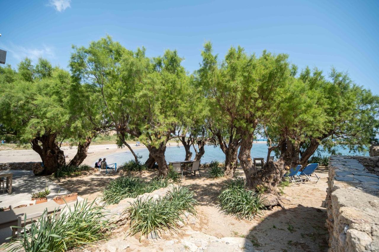 Mylos Seaside Experience Frangokastello Exteriér fotografie